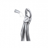 Extarcting Forceps 